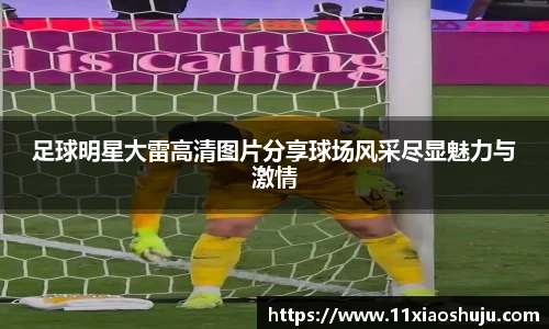 足球明星大雷高清图片分享球场风采尽显魅力与激情